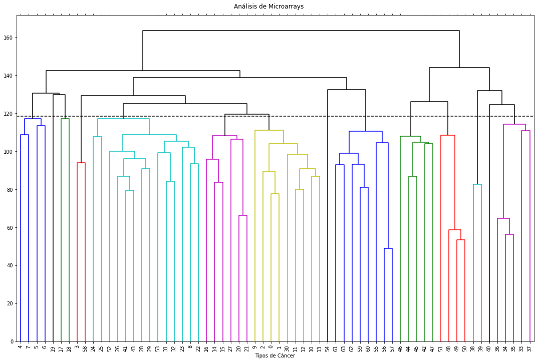 _images/03.3_Clustering_Analisis_Microarrays_26_0.png