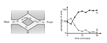 _images/ga_ant_optimization.png